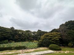 -东京国立博物馆