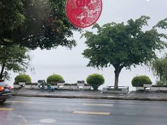 -野菌皇海景野生菌火锅(滨海大道店)