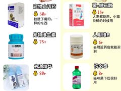 -翊宠yipet猫狗购宠庄园犬舍•猫舍