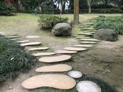 -南山植物园