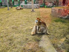 -西安秦岭野生动物园