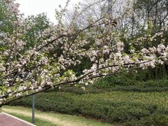 -重庆彩云湖湿地公园