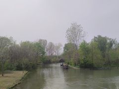 -溱湖国家湿地公园