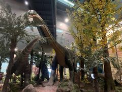 -湖南省地质博物馆