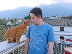 -喵屿·大理花园猫咖