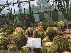 -国家植物园