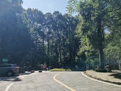 -青城山
