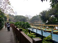 -晓港公园