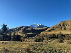-小志家.野生菌鲜切牦牛肉牛杂火锅