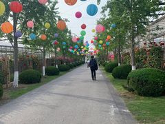 -菊园百果园