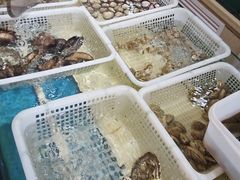 -金沙滩海鲜餐厅·海肠捞饭·手工水饺(梅江龙水园店)