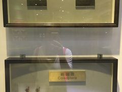 -上海昆虫博物馆