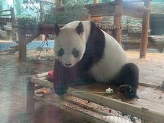 -西霞口神雕山野生动物世界