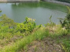 -九龙池景区