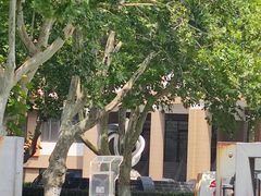 -山东省青岛第二中学(江西路分校)