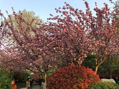 -周彦辰重庆火锅米线·冒菜(万达总店)