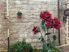 -华谊兄弟（长沙）电影小镇