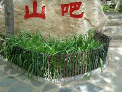 -北京水岸山吧度假村(雁栖镇店)