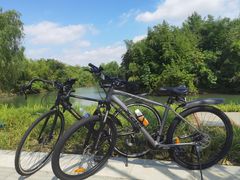 -西溪国家湿地公园