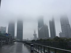 -威尔仕健身(金茂店)
