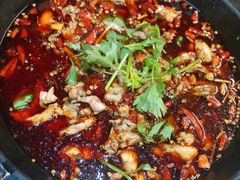 美蛙鱼头火锅-味仙疯美蛙鱼头(清扬路总店)