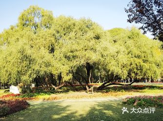 这个公园在每个季节都有它自己的美丽