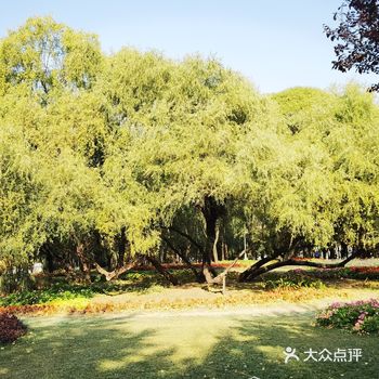 这个公园在每个季节都有它自己的美丽