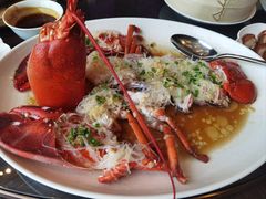 -大连君悦酒店·星海湾壹号Dalian·Dalian(星海广场店)