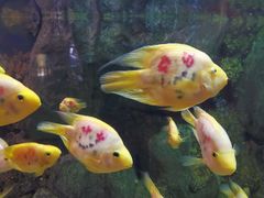 -苏州海洋馆