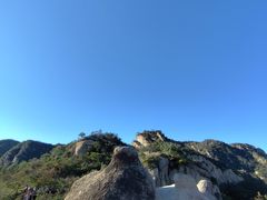 -大岭沟猕猴桃谷风景区