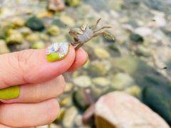 -长岛南北长山旅游景区