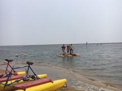 -碧海金沙