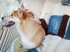 -怪兽屋·羊驼·猫咖·狗咖(俊华广场店)