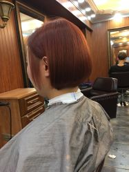 -小齐发型Star·Salon