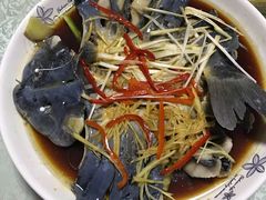 -煲来饱去冷水鱼