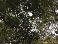 -王家渡火锅(三苏祠店)