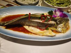 -33号大院·青岛本帮菜(五四广场店)
