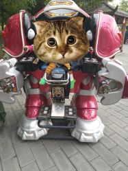 -大望京儿童游乐场