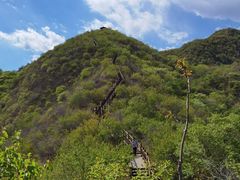 -大岭沟猕猴桃谷风景区