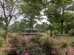 -江南大学(蠡湖校区)