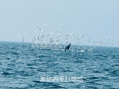 -涠洲岛南湾海洋运动公园