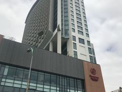 -芽庄喜来登水疗酒店