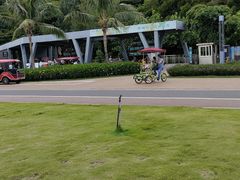 -野狸岛