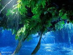 -成都浩海立方海洋公园