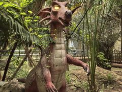 -呀路古热带植物园