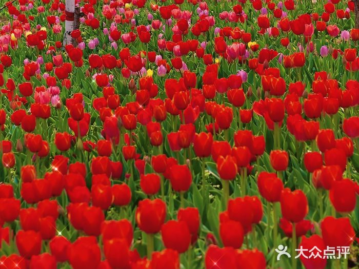 圩墩遗址公园图片