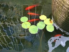 -湖庭壹品鸭王·传统北京烤鸭·别墅私房菜·庭院宵夜(江宁店)