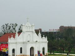 -杭州湾海上花田景区
