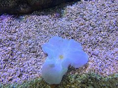 -大连老虎滩海洋公园