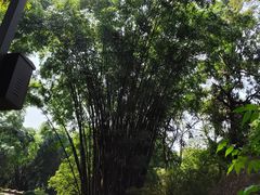 -成都杜甫草堂博物馆